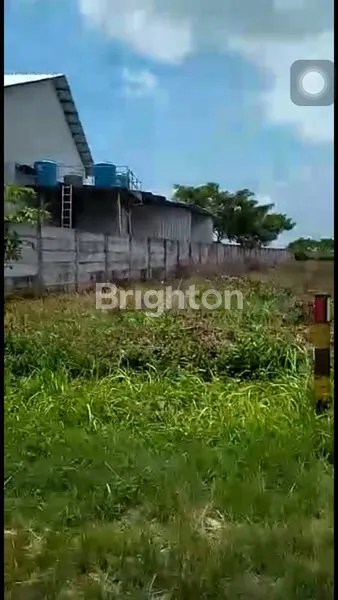 image TANAH LOKASI ZONA INDUSTRI SIAP BANGUN PABRIK DI DAERAH WIDANG TUBAN (5)