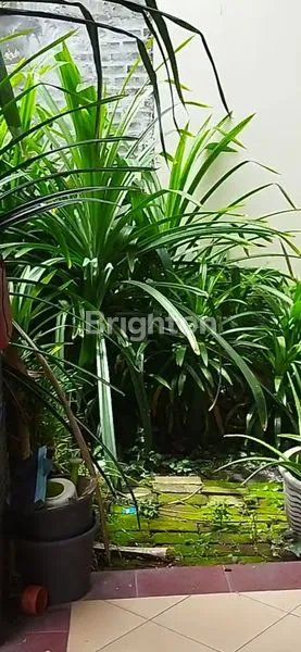 image RUMAH MINIMALIS (1)