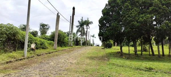 image TANAH DI PUNCAK BURING INDAH MALANG (1)