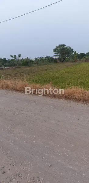 image TANAH  SAWAHDS GANGGANG, BALONG PANGGANG GRESIK (3)