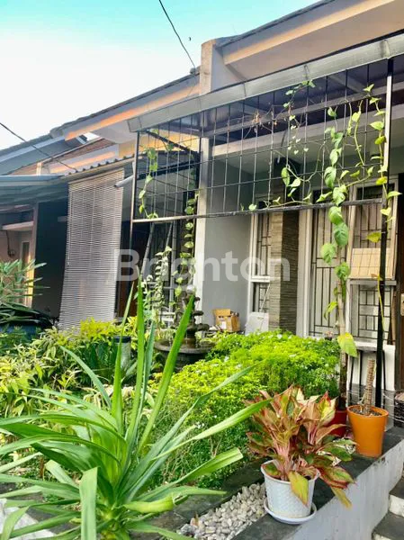 image RUMAH RAPI SIAP HUNI DI CLUSTER NUBIA GRIYA SERPONG SURADITA RESIDENCE CISAUK TANGERANG (6)