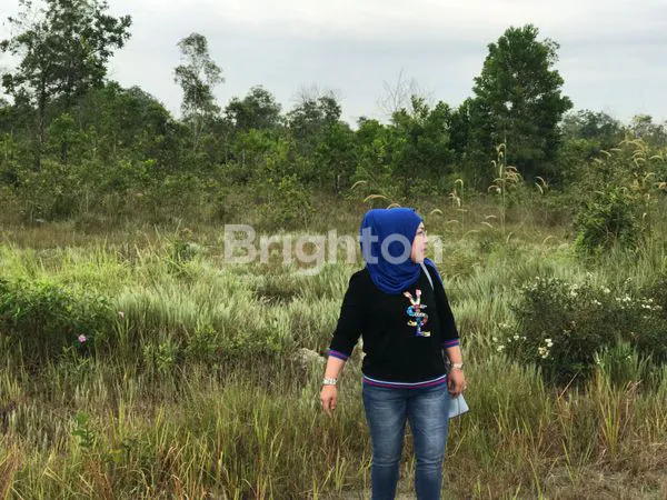 image BANJARBARU KALIMANTAN SELATAN (5)