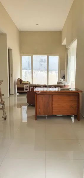 image PALMA CLASSICA BAWAH 2M !!  (2)