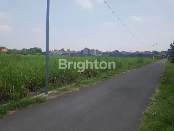 image TANAH DS KEPUNDON MOJOKERTO (1)