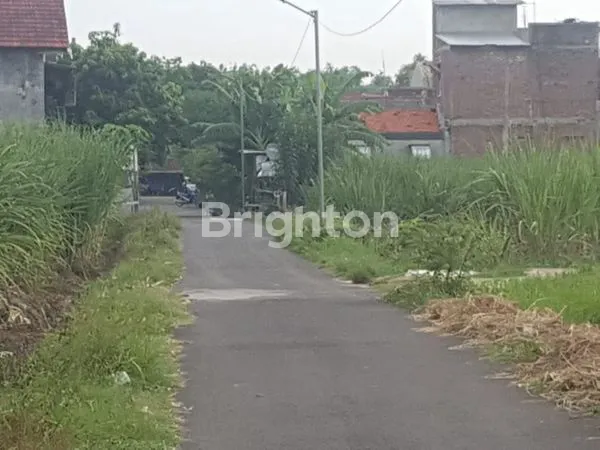 image TANAH DS KEPUNDON MOJOKERTO (2)