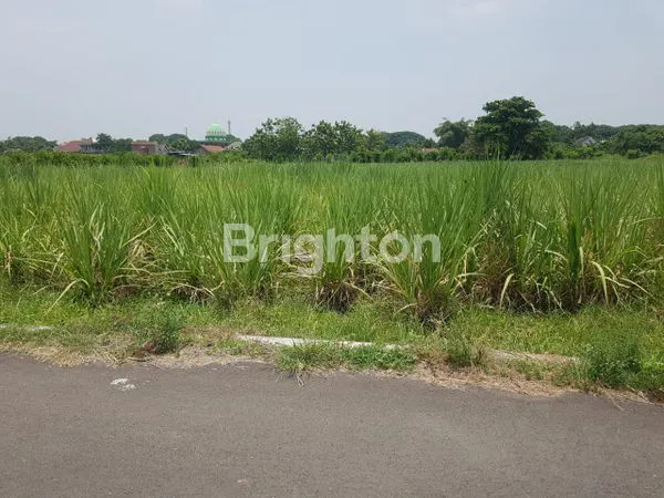 image TANAH DS KEPUNDON MOJOKERTO (5)