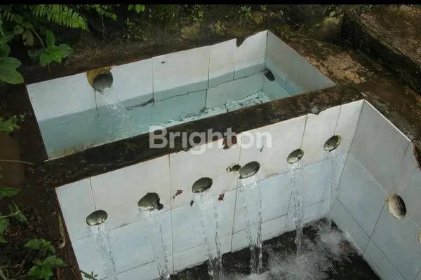 image TANAH DI TAMAN DAYU PRIGEN PASURUAN, LOKASI ADA 23 TITIK SUMBER AIR PEGUNUNGAN. COCOK UNTUK PABRIK AIR MINERAL (3)