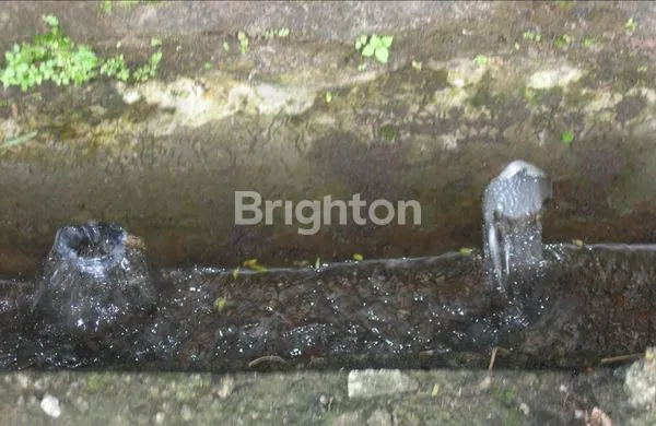 image TANAH DI TAMAN DAYU PRIGEN PASURUAN, LOKASI ADA 23 TITIK SUMBER AIR PEGUNUNGAN. COCOK UNTUK PABRIK AIR MINERAL (2)