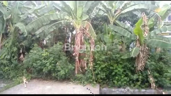 Gambar Property NULL JALAN RAYA MOJOAGUNG