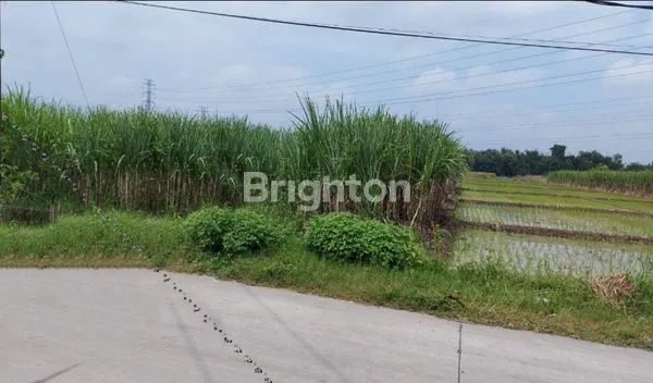 image CIAMIK BUAT USAHA/PERUMAHAN (1)