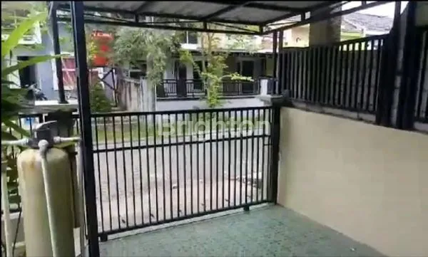 image BORNEO PARADISO (3)