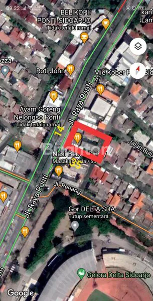 image RAYA PONTI (1)