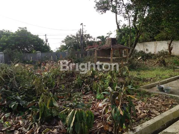 TANAH DI NGESREP KULON