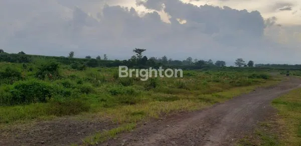 image TANAH KAVLING LUAS DI PASURUAN (3)