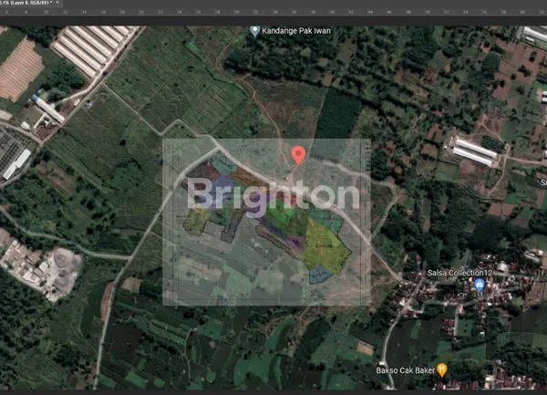 image TANAH KAVLING LUAS DI PASURUAN (4)