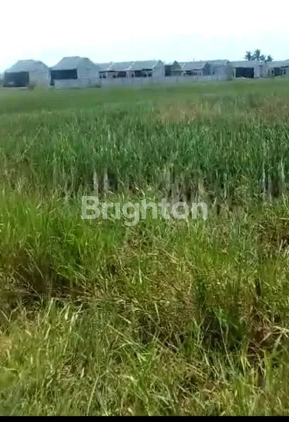 image TANAH DI SEPATAN (1)