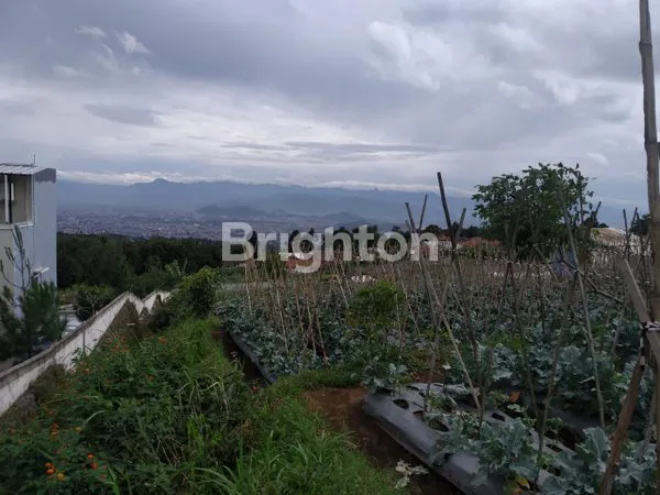 image LANGKA NIH  CISARUA (4)