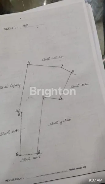 image TANAH KEBUN DATAR - PINGGIR JALAN & PRODUKTIF (4)