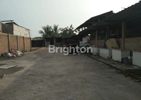 image PABRIK KERUPUK DI RENGASDENGKLOK KARAWANG  (2)