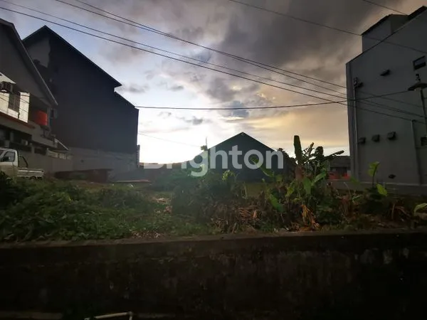 image BEJE-BEJE  (1)