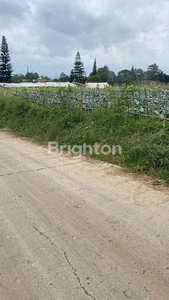 image TANAH MATANG DENGAN VIEW CANTIK (4)