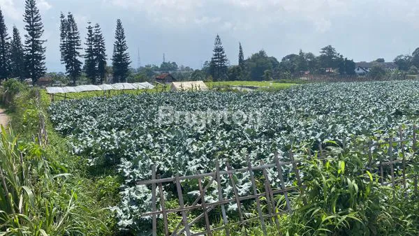 image TANAH MATANG DENGAN VIEW CANTIK (1)