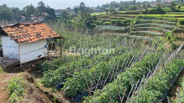 image TANAH MATANG DENGAN VIEW CANTIK (5)