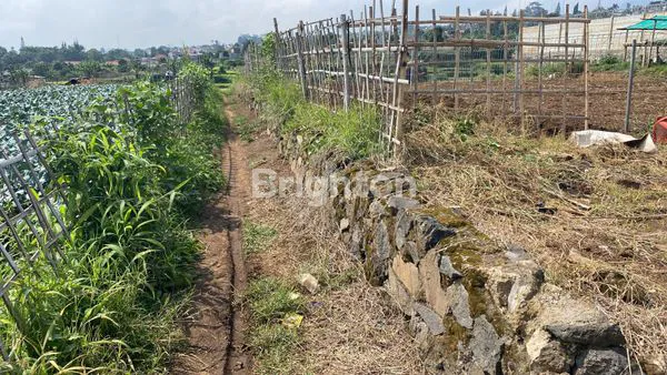 image TANAH MATANG DENGAN VIEW CANTIK (6)