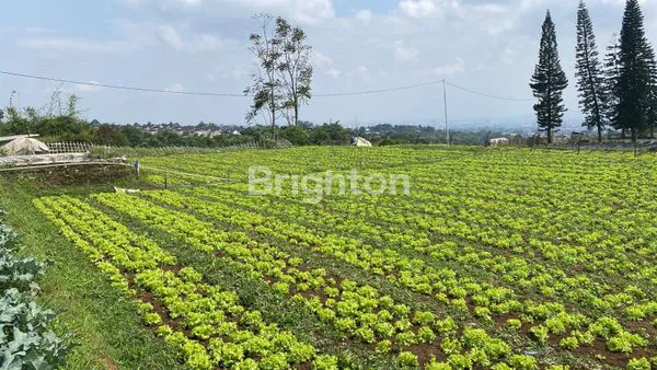 image TANAH MATANG DENGAN VIEW CANTIK (3)