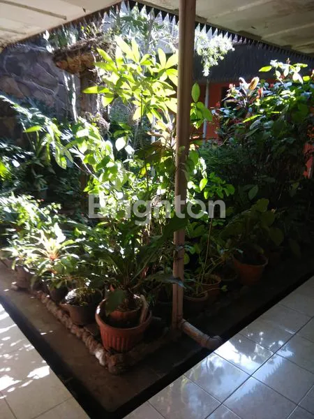 image RUMAH TINGGAL DI TENGAH KOTA (4)