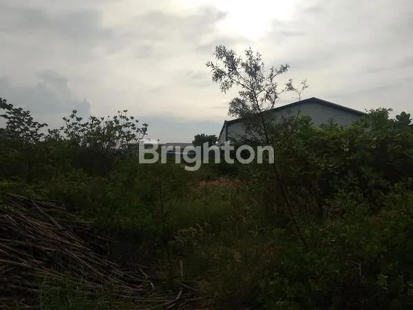 image GUDANG DUMAR INDUSTRI BANGUNAN BARU (5)