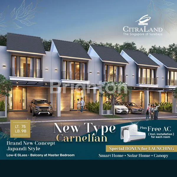 image CRYSTAL GOLF CARNELIAN CITRALAND (1)