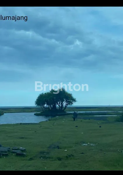 image LAHAN UNTUK TAMBAK, SIAP PAKAI DI LUMAJANG..HARGA DIBAWAH PASAR (2)