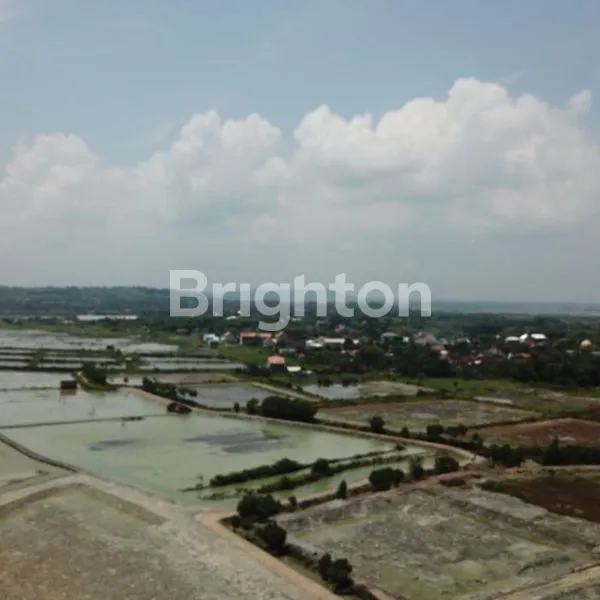 image TANAH 0 JALAN PAS DEPANNYA LAUT (JL TUBAN GRESIK PANTAI LOHGUNG BRONDONG)LAMONGAN  (1)