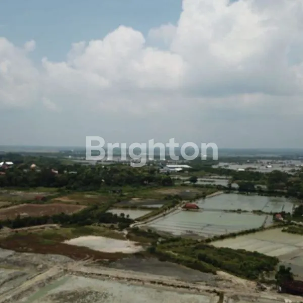 image TANAH 0 JALAN PAS DEPANNYA LAUT (JL TUBAN GRESIK PANTAI LOHGUNG BRONDONG)LAMONGAN  (5)