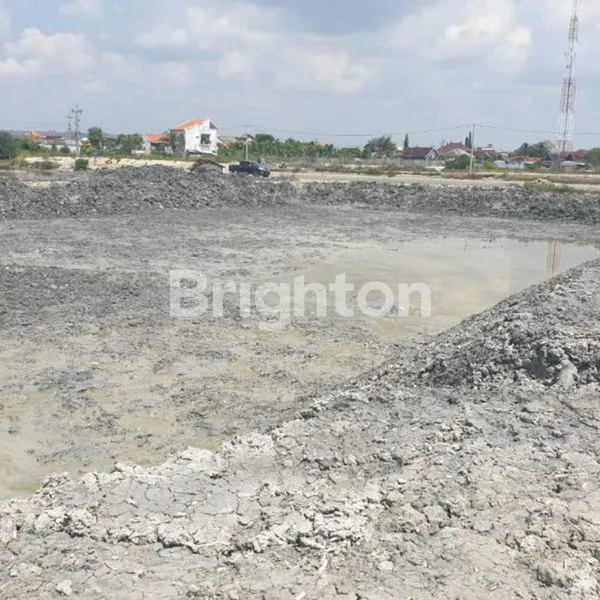 image TANAH 0 JALAN PAS DEPANNYA LAUT (JL TUBAN GRESIK PANTAI LOHGUNG BRONDONG)LAMONGAN  (8)