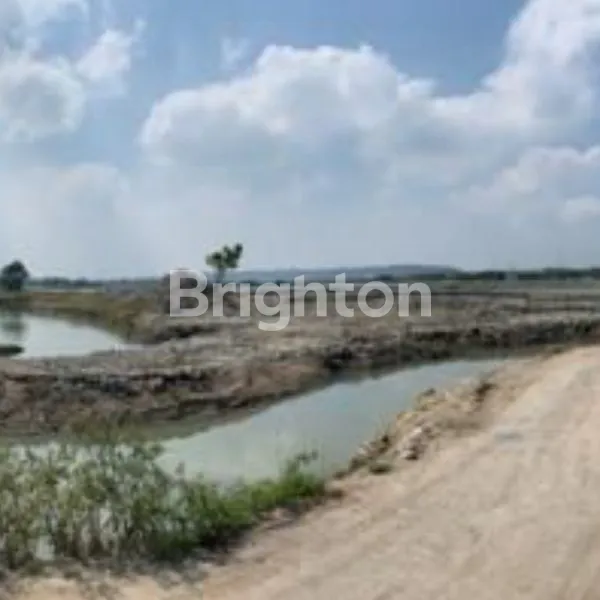 image TANAH 0 JALAN PAS DEPANNYA LAUT (JL TUBAN GRESIK PANTAI LOHGUNG BRONDONG)LAMONGAN  (13)