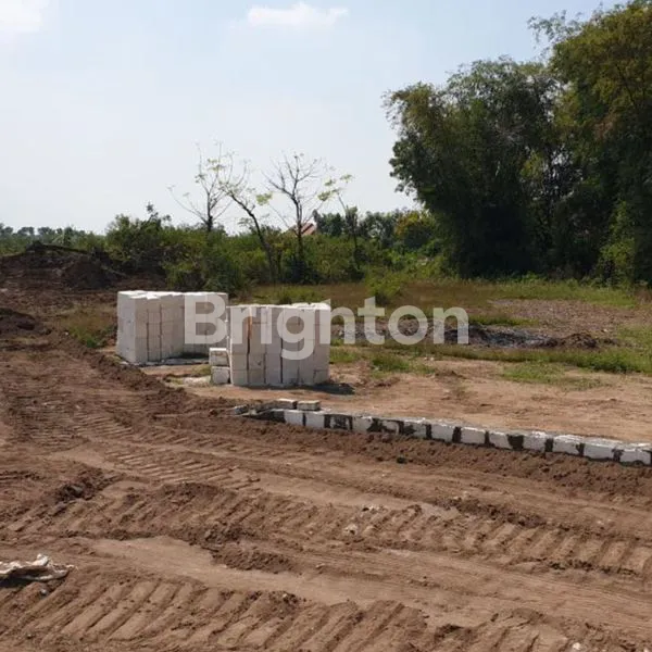 image TANAH 0 JALAN PAS DEPANNYA LAUT (JL TUBAN GRESIK PANTAI LOHGUNG BRONDONG)LAMONGAN  (17)