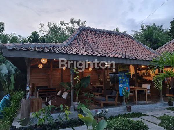 VILLA HOMESTAY PLUS RESTORAN VIEW SAWAH DEKAT KASONGAN