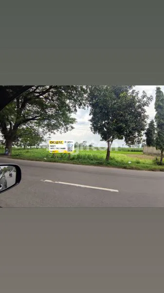 image TANAH STRATEGIS TUGUREJO (1)