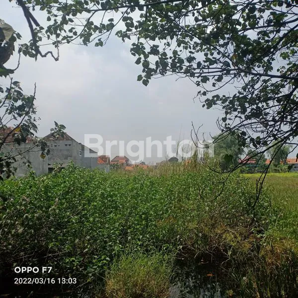 Gambar Property TANAH 0JLN RAYA SEDENGAN MIJEN KRIAN