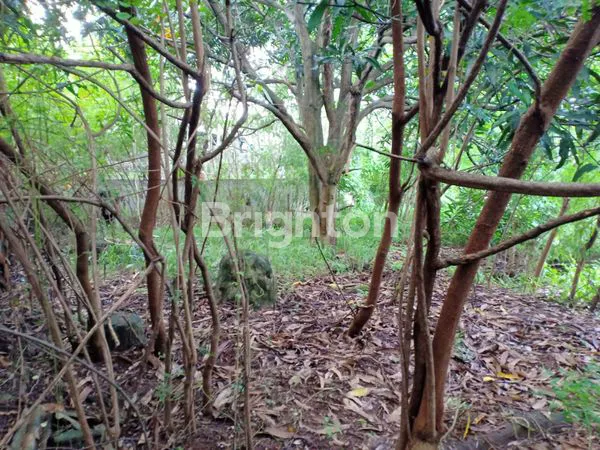 image BEKAS PABRIK HARGA HITUNG TANAH SAJA DAN DIBAWAH HARGA NJOP PBB 2025, LOKASI DIKAWASAN INDUSTRI TAMBAK AJI SEMARANG BARAT (3)