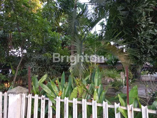 image RUMAH TUA DI LOKASI PUSAT KOTA MEDAN BARAT.  (3)