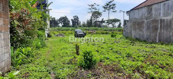 image TANAH DI BULULAWANG (1)