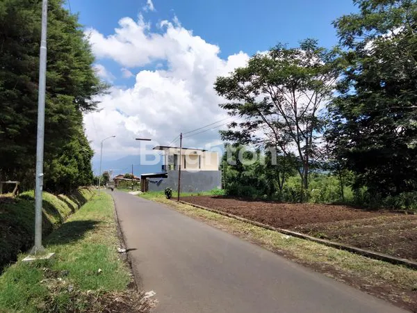 image GRATIS VILLA MEWAHNYA!!!  PERKEBUNAN JERUK DI KOTA BATU (1)