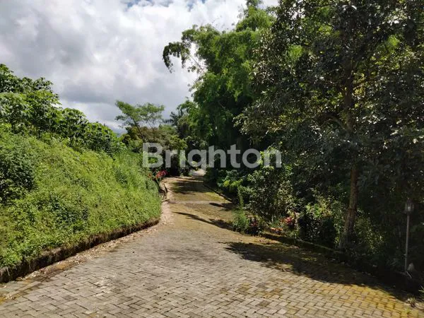 image GRATIS VILLA MEWAHNYA!!!  PERKEBUNAN JERUK DI KOTA BATU (3)