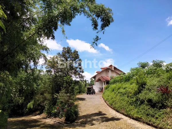 image GRATIS VILLA MEWAHNYA!!!  PERKEBUNAN JERUK DI KOTA BATU (8)