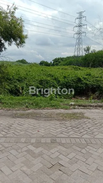 image TANAH DI KEDIRI, DS. TUGUREJO BISA UNTUK INDUSTRI/PABRIK (2)