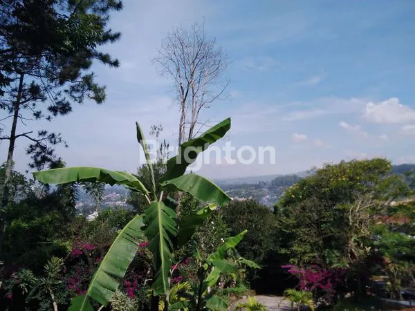 image TANAH DI BELAKANG RDP (2)