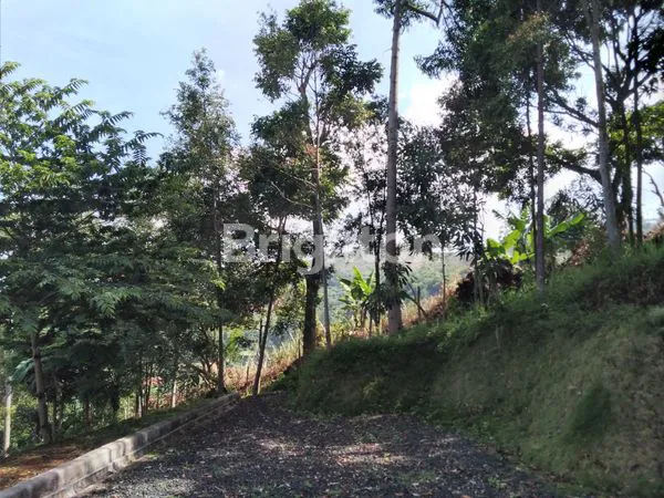 image TANAH DI BELAKANG RDP (7)